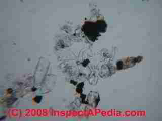Paint lab Photograph of sample of failed paint